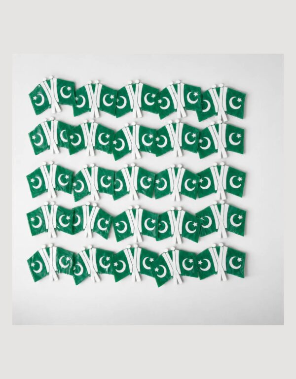 25 Pcs Double-Sided Pakistan Flag Badge Pack