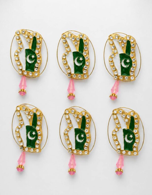 6 Pcs Pakistan Independence Day Flag Badge Set