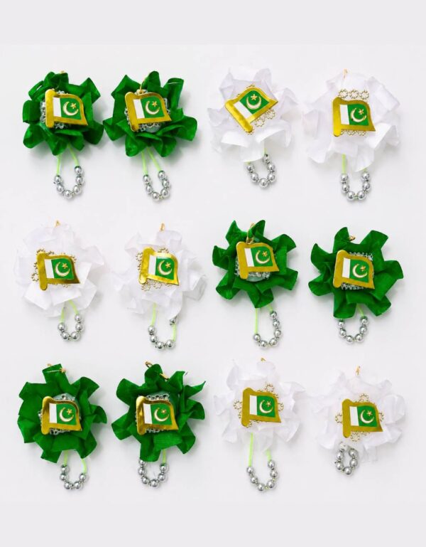 Lawat Co Pakistan Independence Day Rosette Flag Badge 12 pieces