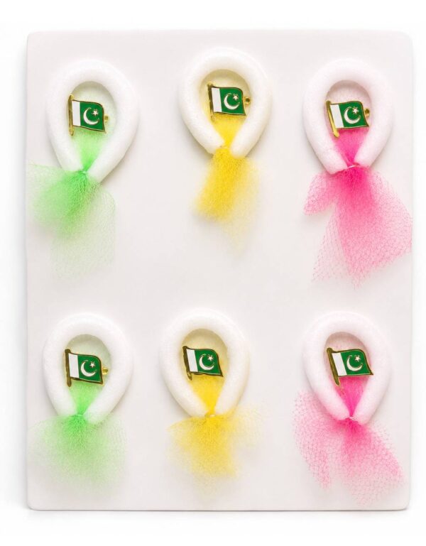 Pakistan Independence Day Flag Badge Set (6 Pieces) Metal Pakistan Flag Pins with Decorative Mesh