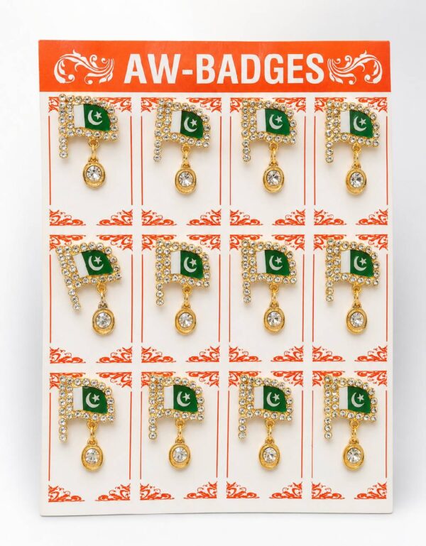 Lawat Co Premium Pakistan Flag Rhinestone Badge Set of 12 | Independence Day 14 August Dress Brooch Pin | Crystal Flag Lapel Pins | Pakistan Patriotic Badge